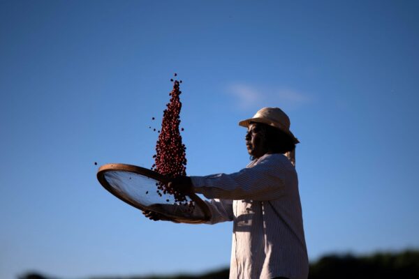 Coffee prices rise on Trump tariff threat, plus market rotation winners