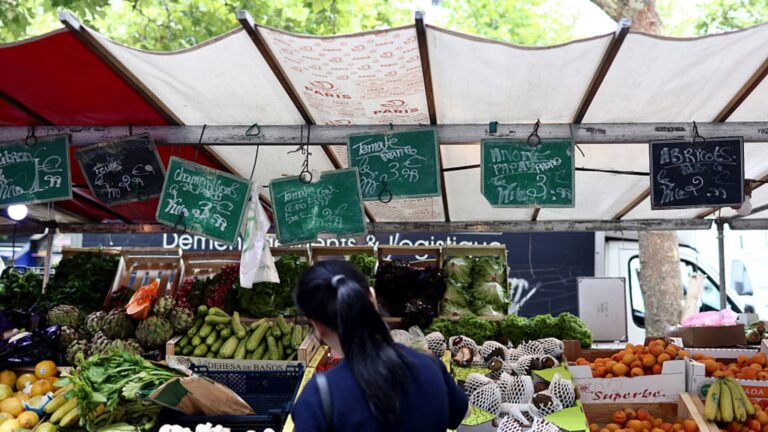 Euro zone inflation July 2025