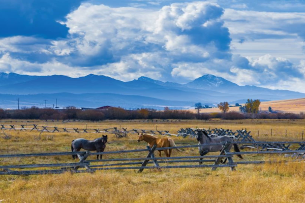 Trophy-property ranches hit the market as more heirs choose to sell