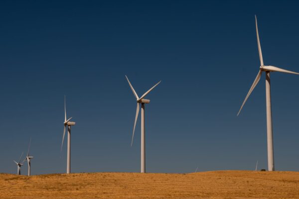 Trump administration cancels $679 million for offshore wind projects