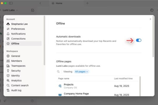 Finally, Notion now works without an internet connection