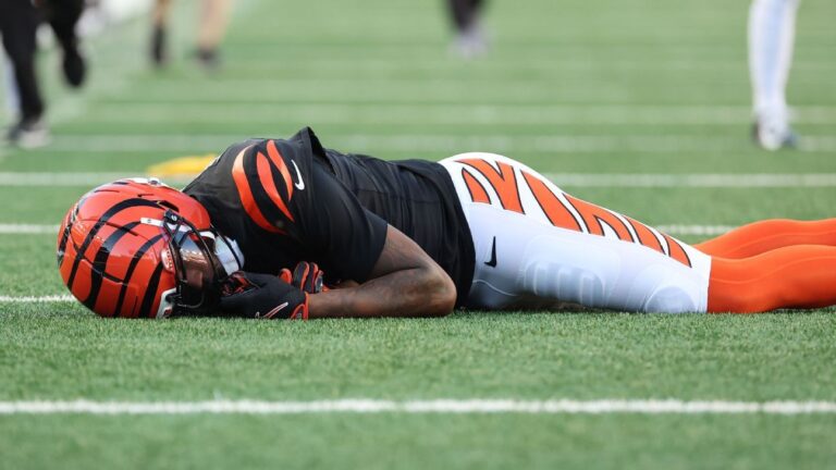 Bengals’ Tee Higgins suffers concussion after hard fall to turf