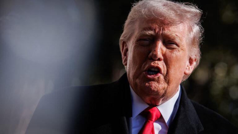 Trump says he’ll issue an executive order on voter ID by midterms