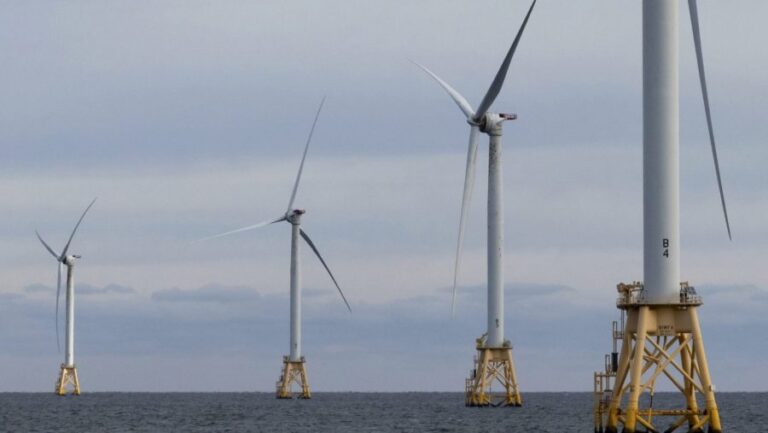 'Green' projects are killing our oceans — defund them to save money